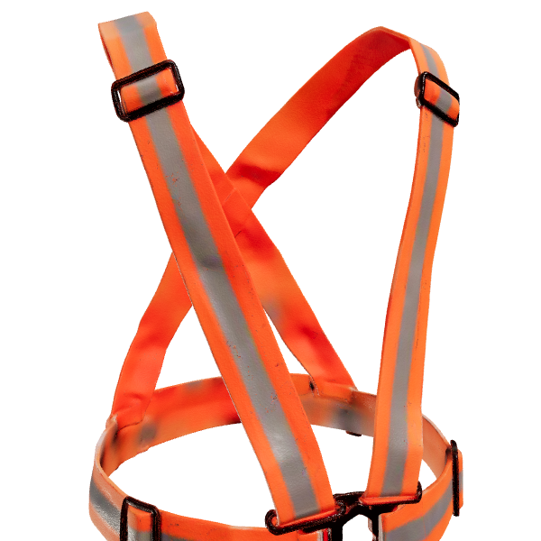 Safety Harness